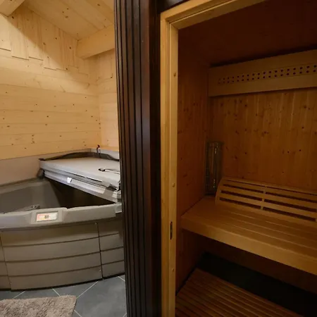 Neuf Et Sauna Appartement Le Lioran